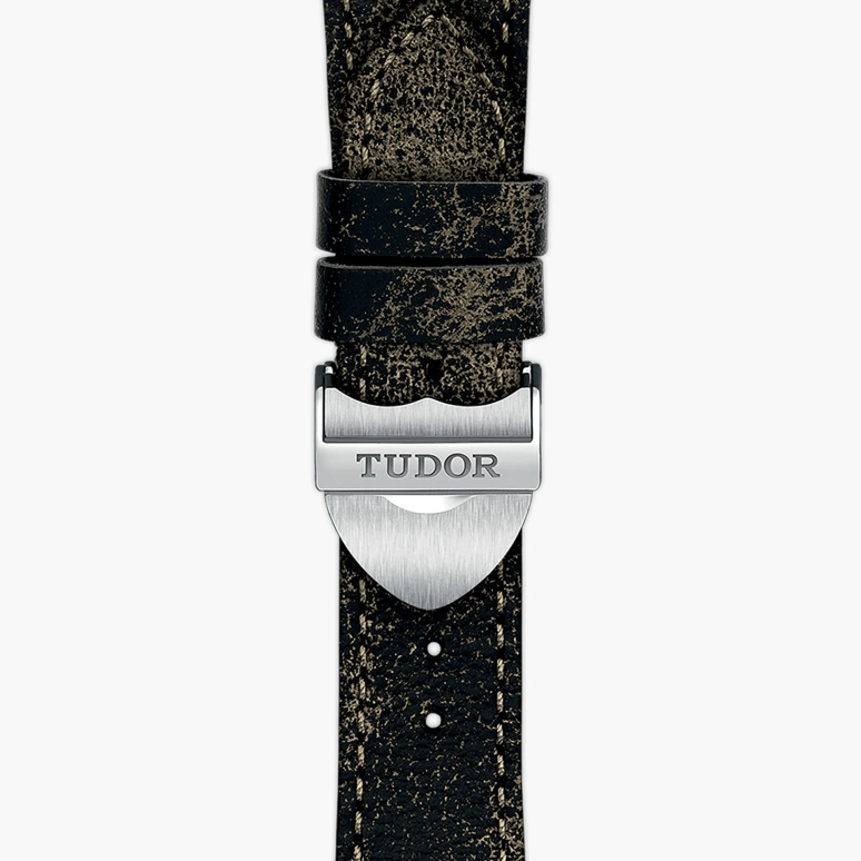 Tudor,Black Bay 41mm,41mm,Yellow Gold,Stainless Steel,Black,Automatic,Date,70hours,79733N,79733N-0007