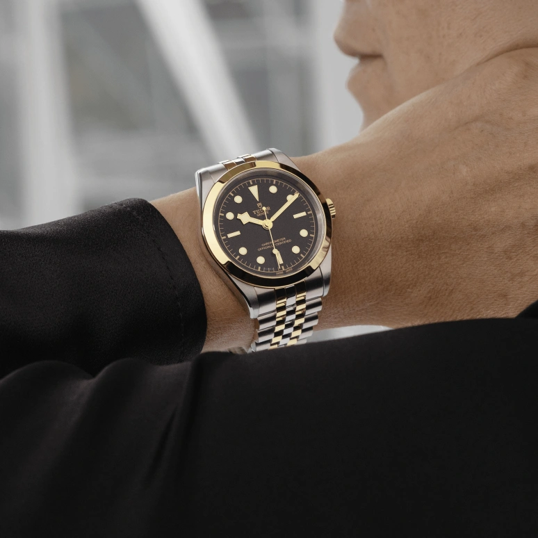 Tudor,Black Bay 31-36-39-41 39mm,39mm,Yellow Gold,Stainless Steel,Black,Automatic,70hours,In-house Caliber,79663,79663-0001