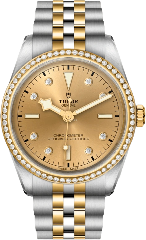 Tudor,Black Bay 31-36-39-41 36mm,36mm,Yellow Gold,Stainless Steel,Champagne,Automatic,70hours,In-house Caliber,79653,79653-0007