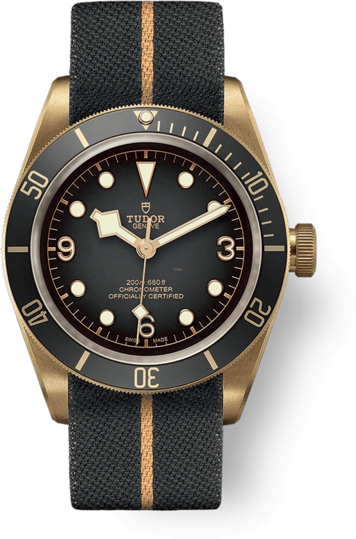 Tudor Black Bay 79250BA-0002