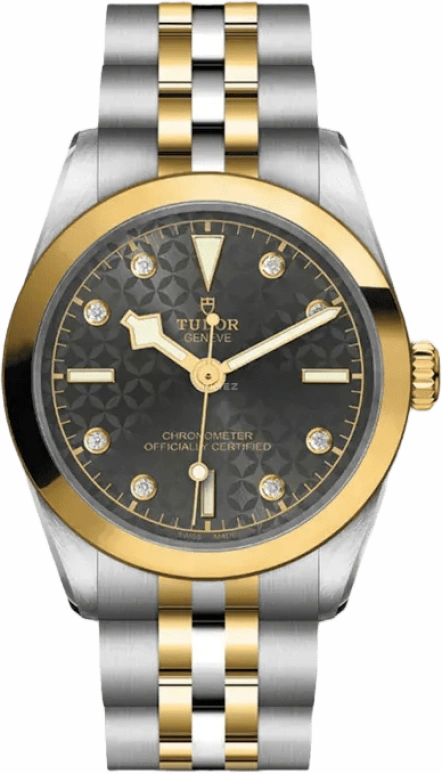 Tudor,Black Bay 31-36-39-41 31mm,31mm,Yellow Gold,Stainless Steel,Grey,Automatic,50hours,In-house Caliber,79603,79603-0003