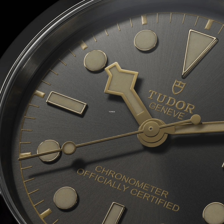 Tudor,Black Bay 31-36-39-41 39mm,39mm,Stainless Steel,Gunmetal Gray,Automatic,70hours,In-house Caliber,79660,79660-0001