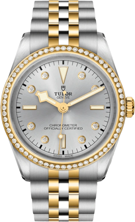 Tudor,Black Bay 31-36-39-41 36mm,36mm,Yellow Gold,Stainless Steel,Silver,Automatic,70hours,In-house Caliber,79653,79653-0006