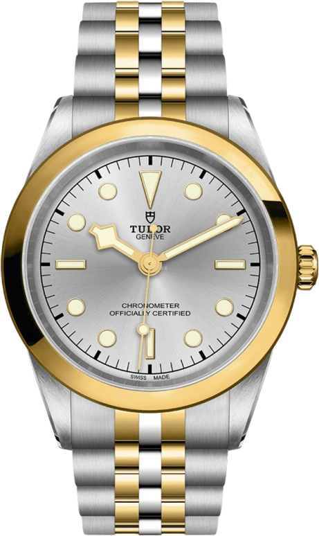 Tudor,Black Bay 31-36-39-41 41mm,41mm,Yellow Gold,Stainless Steel,Silver,Automatic,70hours,In-house Caliber,79683,79683-0002