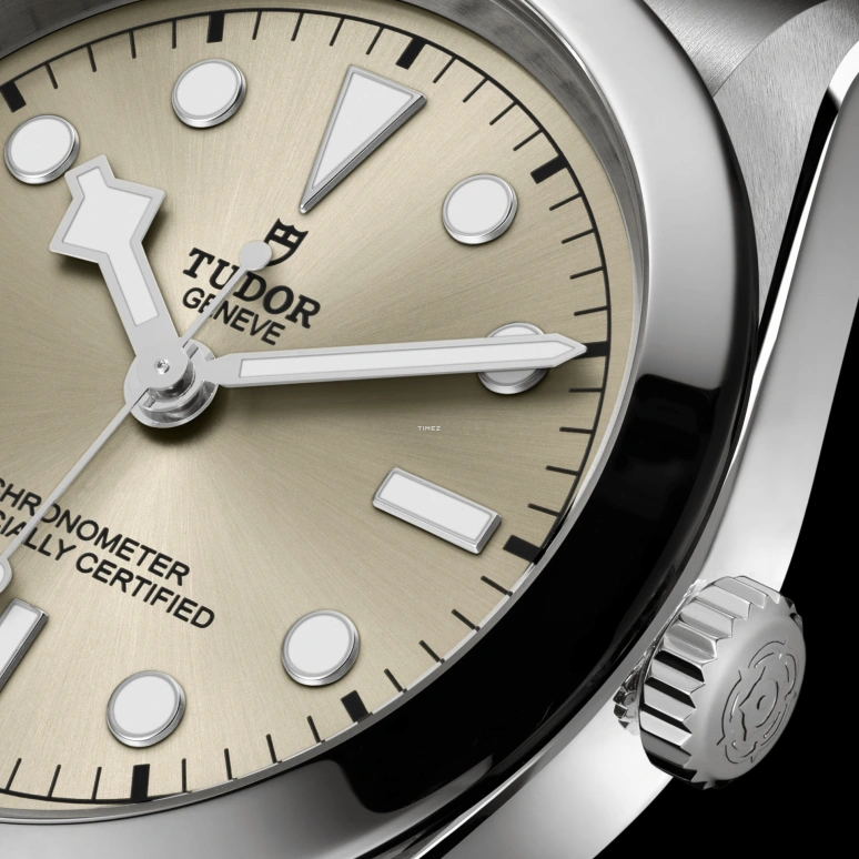 Tudor,Black Bay 31mm,31mm,Stainless Steel,Champagne,Automatic,50hours,In-house Caliber,79600,79600-0003