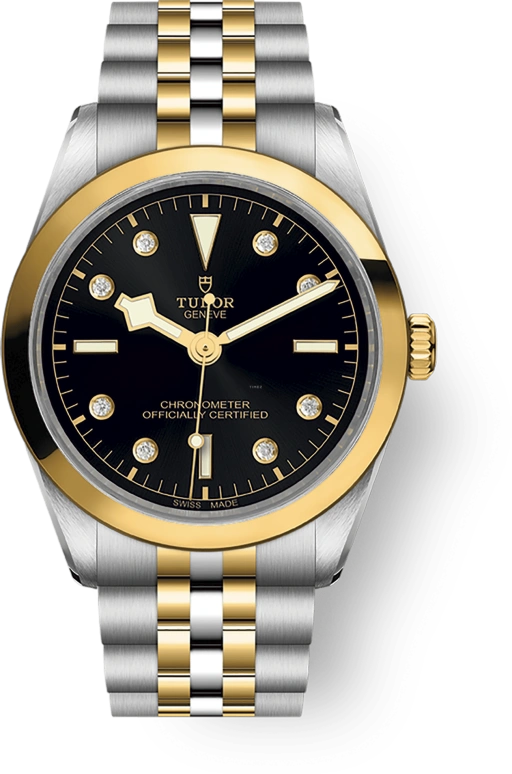 Tudor,Black Bay 31-36-39-41 36mm,36mm,Yellow Gold,Stainless Steel,Silver,Automatic,70hours,In-house Caliber,79643,79643-0006