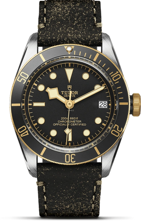 Tudor,Black Bay 41mm,41mm,Yellow Gold,Stainless Steel,Black,Automatic,Date,70hours,79733N,79733N-0007