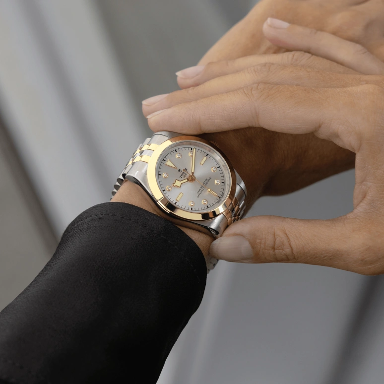 Tudor,Black Bay 31-36-39-41 39mm,39mm,Yellow Gold,Stainless Steel,Silver,Automatic,70hours,In-house Caliber,79663,79663-0007