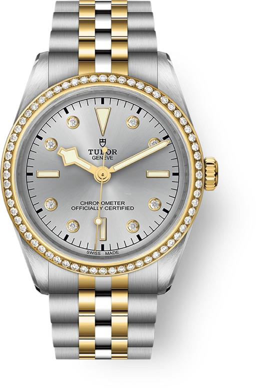 Tudor,Black Bay 31-36-39-41 36mm,36mm,Yellow Gold,Stainless Steel,Silver,Automatic,70hours,In-house Caliber,79653,79653-0006