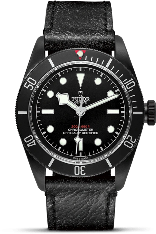 Tudor Black Bay 79230DK-0007