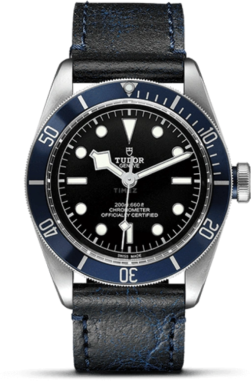 Tudor Black Bay 79230B-0002