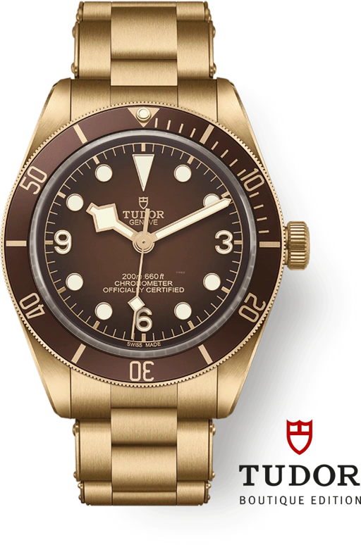 Tudor Black Bay 58 79012M-0001