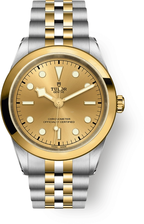 Tudor,Black Bay 31-36-39-41 41mm,41mm,Yellow Gold,Stainless Steel,Silver,Automatic,70hours,In-house Caliber,79683,79683-0005