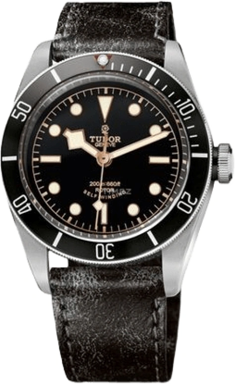 Tudor Black Bay 79220N-0002