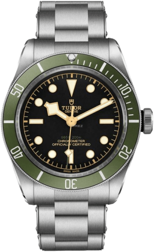 Tudor Black Bay 79230G-0001