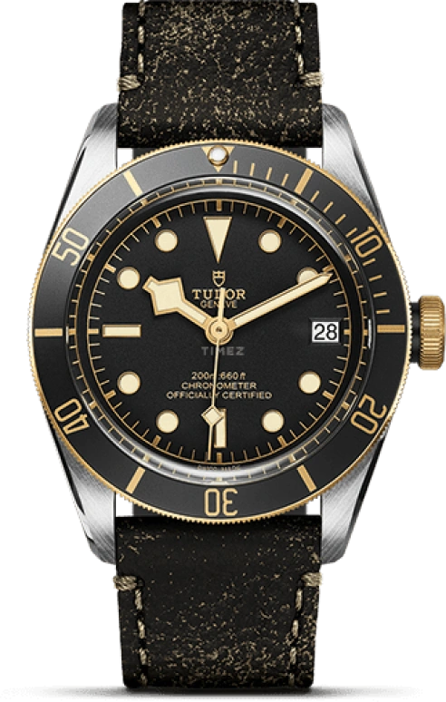 Tudor Black Bay 79733N-0001