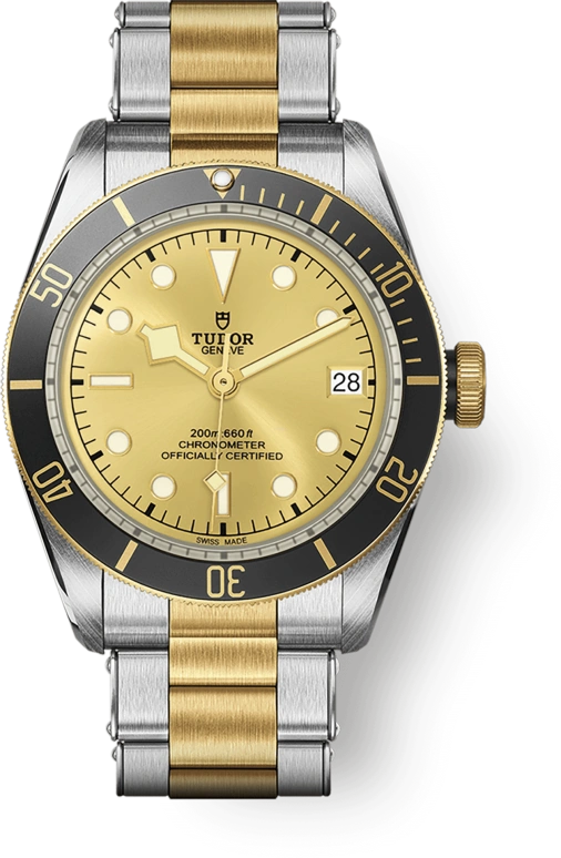 Tudor Black Bay 79733N-0004