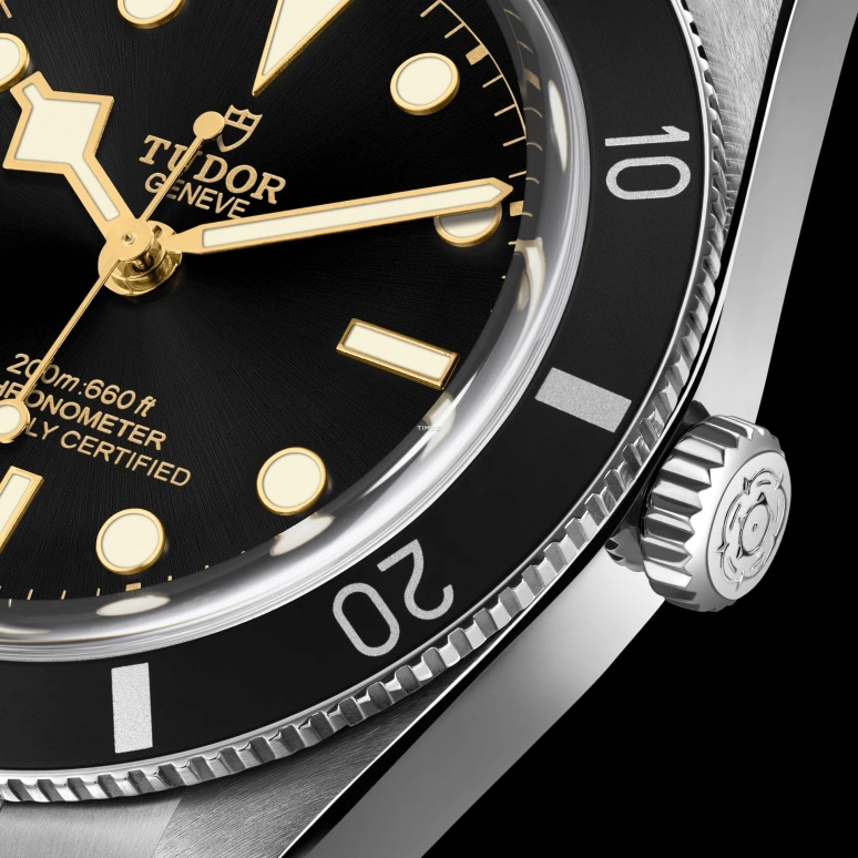 Tudor,Black Bay 54 37mm,37mm,Stainless Steel,Black,Automatic,70hours,In-house Caliber,79000N,79000N-0001