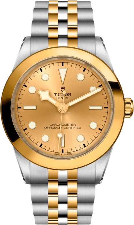 Tudor,Black Bay 31-36-39-41 39mm,39mm,Yellow Gold,Stainless Steel,Champagne,Automatic,70hours,In-house Caliber,79663,79663-0005