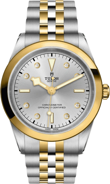 Tudor,Black Bay 31-36-39-41 41mm,41mm,Yellow Gold,Stainless Steel,Silver,Automatic,70hours,In-house Caliber,79683,79683-0007