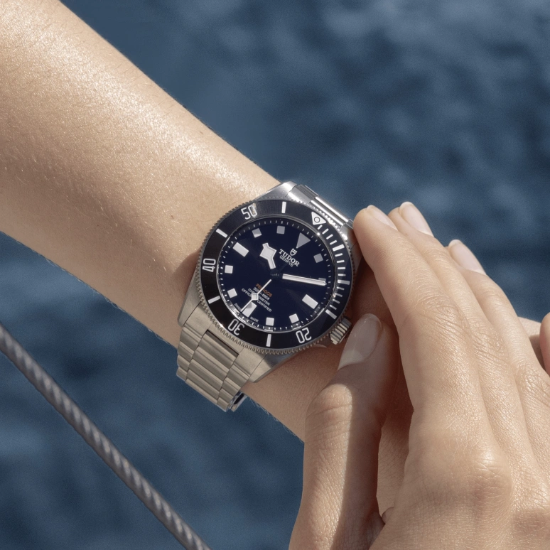 Tudor,Pelagos 39mm,39mm,Titanium Gold,Luminous,Black,Automatic,70hours,In-house Caliber,25407N,25407N-0001