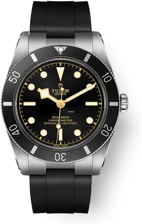 Tudor Black Bay 54 79000N-0002