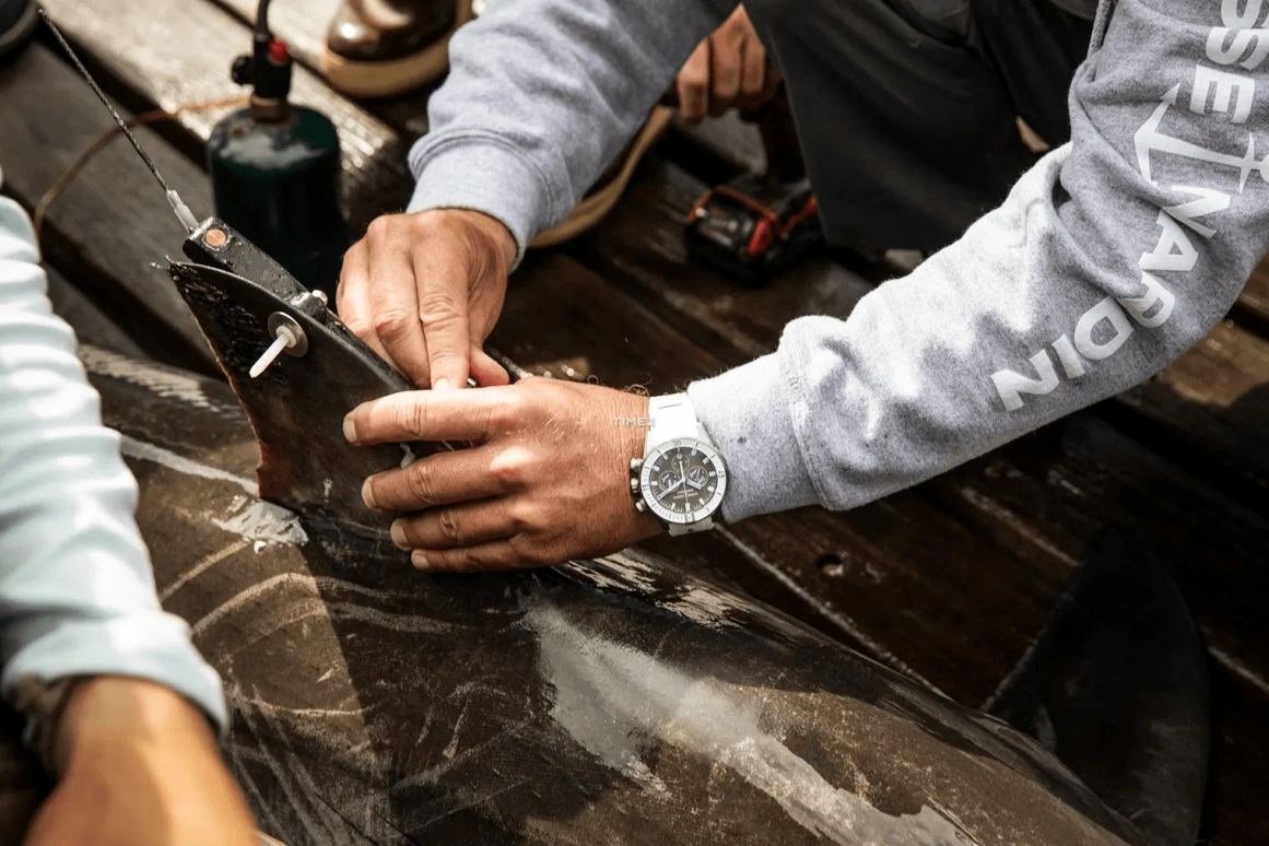 Ulysse Nardin,Diver 44mm,44mm,Titanium,Grey,Automatic,Chronograph,Day,1503,1503-170LE-1A-GW/3B