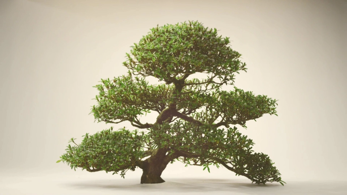 Vacheron Constantin,Patrimony 41mm,41mm,Pink Gold,Silver,Automatic,Moonphase,Perpetual Calendar,Leap Year,Month,40hours,In-house Caliber,43175,43175/000R-9687