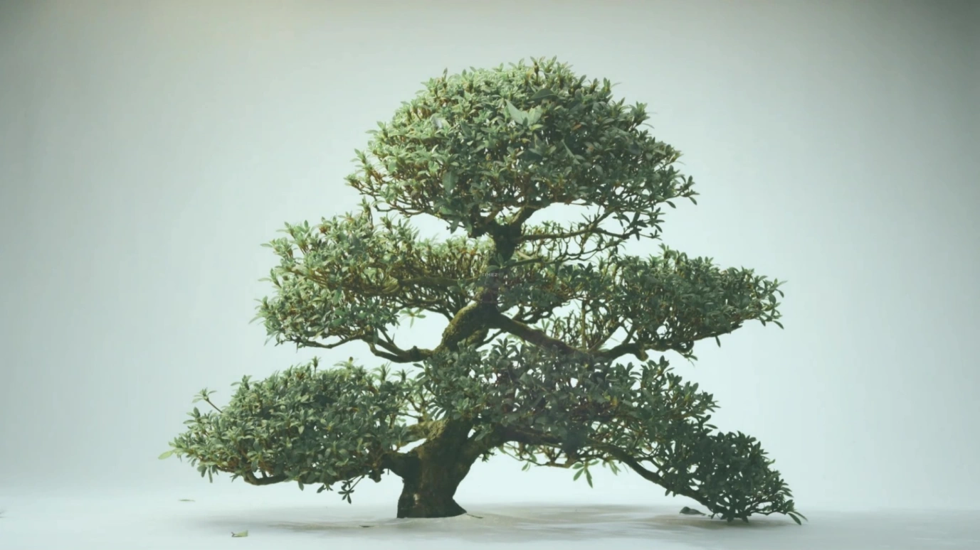 Vacheron Constantin,Patrimony 41mm,41mm,Pink Gold,Silver,Automatic,Moonphase,Perpetual Calendar,Leap Year,Month,40hours,In-house Caliber,43175,43175/000R-9687