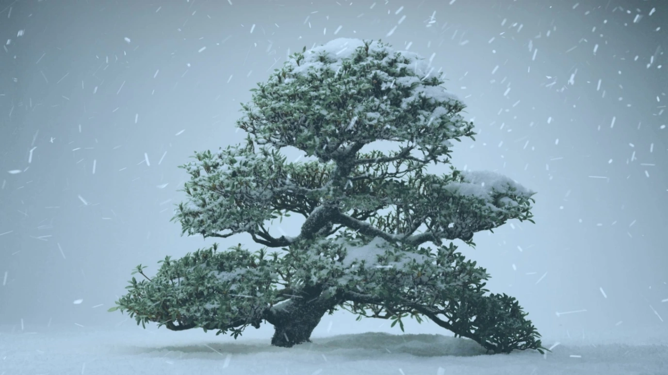 Vacheron Constantin,Patrimony 41mm,41mm,Pink Gold,Silver,Automatic,Moonphase,Perpetual Calendar,Leap Year,Month,40hours,In-house Caliber,43175,43175/000R-9687