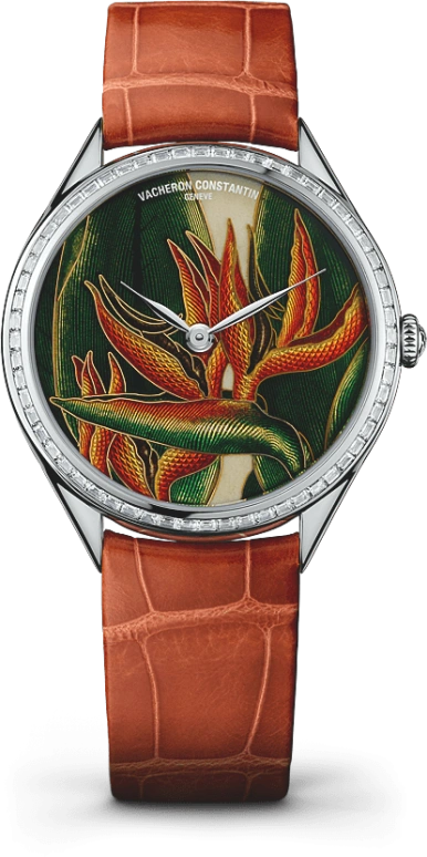 Vacheron Constantin Métiers d'Art 82650/000G-9854