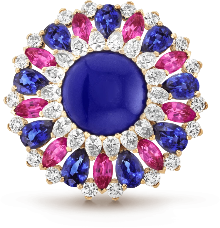 Van Cleef & Arpels,High Jewelry 159mm,159mm,Sapphire,Yellow Gold,White,Pink Red,Blue,Red,Lapis Lazuli,Sapphire,VCARO8X700