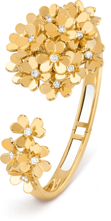梵克雅宝,其它 31毫米,31毫米,黄金,蓝宝石,水晶玻璃,镶嵌,镶钻,密镶,VCARO8X100