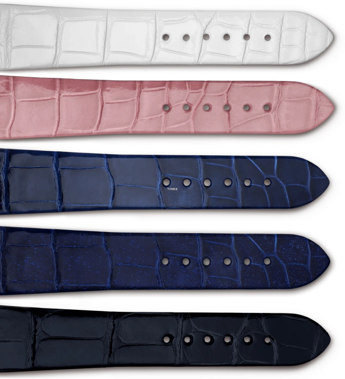 Van Cleef & Arpels,Extraordinary Dials™ 41mm,41mm,White Gold,Multi-Color,Grey,Purple,Handwound,38hours,In-house Caliber,VCARPERB00