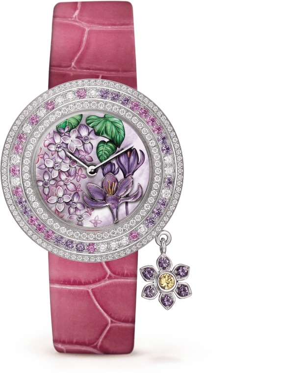 Van Cleef & Arpels,Extraordinary Dials™ 32mm,32mm,Sapphire,White Gold,Light,Pink,Green,Multi-Color,Quartz,Sapphire,Crystal Glass,Round,VCARO4JV00