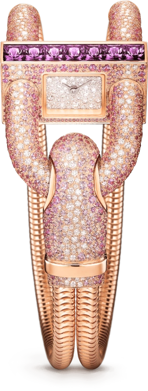 Van Cleef & Arpels Cadenas® VCARO4JZ00